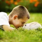 How do rabbits show affection to humans